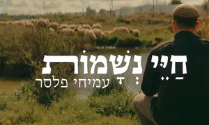 "חיי נשמות" - שיר חדש של עמיחי פלסר