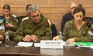IDF reports 54 suicides since 2023