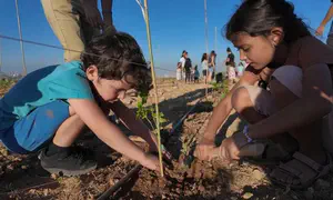 1,800 Murdered - 48 Hours to Plant Memorial Trees