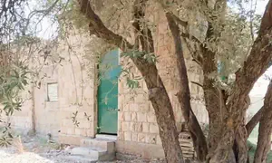 Should Israel remove Hamas icon’s tomb?
