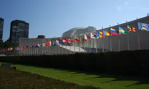 Возглавит ли ООН палестинка?
