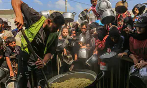 Gross falsifications in report on hunger in Gaza
