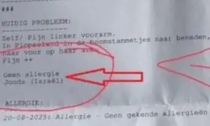 Belgian hospital records 'Jewish' as allergy in 9-year-old's file