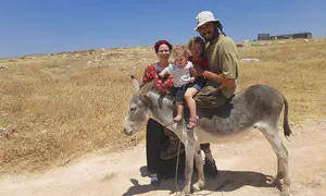 Shepherd arrested in his home: 'Dangerous precedent'