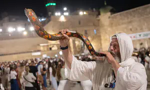 Watch: Heartbreaking 'Kaddish' prayer at the Western Wall