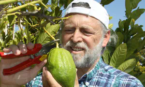 Be an Etrog!
