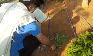 Shaking the four species, beating the aravot, feeling every Jew