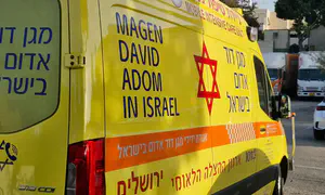 Unusual discovery in Hadera sewage pipe