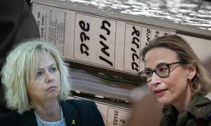 היועמ"שית פרשה מהתיק; לוין מינה מחליף