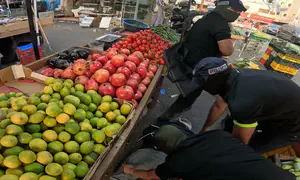 Security forces arrest suspect deep in Ramallah