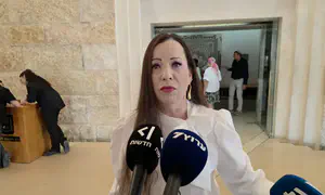 טלי גוטליב: המפכ"ל אידיוט