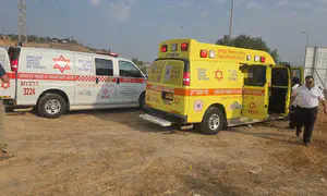 נטע הלוי בן 7 נהרג בתאונה בשדמות מחולה