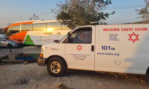 Eight-year-old girl struck and killed by bus