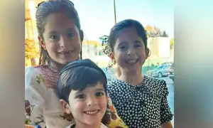 Jewish woman given plea deal for fatally ramming haredi family