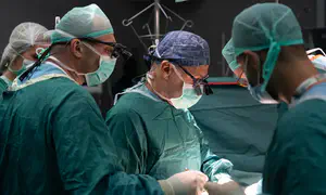 השתלת מעי נדירה בוצעה בבילינסון