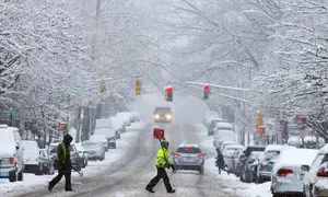 Harvard professor agrees to leave US after synagogue shooting