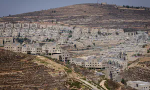 7 security guards arrested on suspicion of smuggling illegals