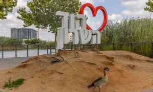 סערה סביב מינוי רב לעיר הוד השרון