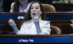 Что делать с Тали Готлиб?