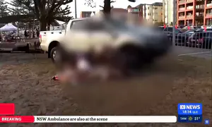 Шокирующая резня на вечеринке в честь Хануки в Сиднее