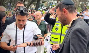 “Нельзя исключать, что за терактом в Сиднее стоит Израиль”