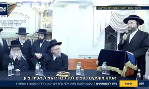 Cash grants awarded to draft dodgers released from detention