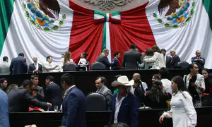 Жестокая драка женщин в мексиканском Конгрессе. Видео