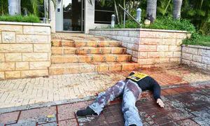 Обезглавленные куклы у домов Барака, Фогельмана и Хульдаи