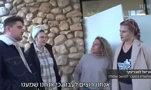 דם חדש יציל את שתולה?