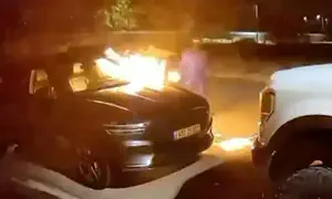 Masked gang sets vehicles on fire in Givat Bar