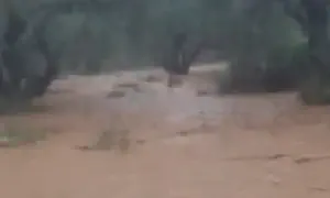 תיעוד מתוך הרכב שנלכד בשיטפון בבנימין