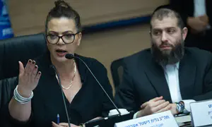 דיסטל תוקפת: "אתם מפוצצים את הוועדה"