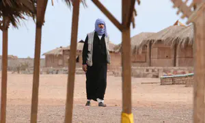 How Cairo is quietly building the "Sinai Option"