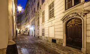 Jewish-Austrian artist assaulted during protest incident