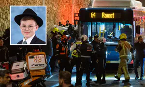 מה הוביל לדריסה? עדויות ופרטים חדשים