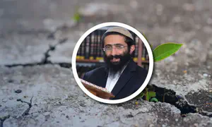 פרשת שמות: איך להיוולד מתוך משבר?