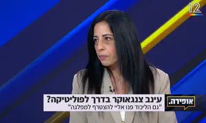 עינב צנגאוקר: "רצה לפוליטיקה"