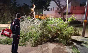 Heavy winds sweep across Israel - two injured