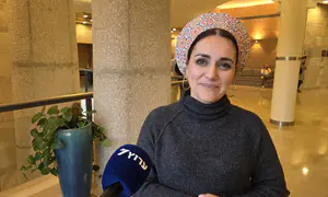 ח"כ סון הר מלך: "אין לבג"ץ סמכות"