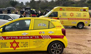 חשש לחיי נער שנסחף בנחל ליד מודיעין עילית