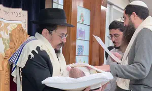 מסע מטלטל בין עולמות