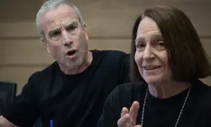 ח"כ שטרן התפרץ על איינהורן ונטש בזעם