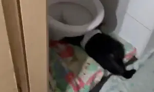 כך נראה המעון שבו מתו שני תינוקות