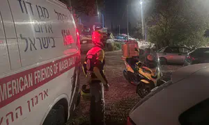 ילד בן 7 נהרג: "עף מדלת באגי בזמן נסיעה"