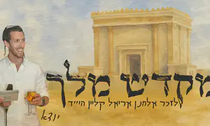 השיר שנולד מהכאב: לזכרו של אלחנן הי"ד