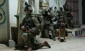 גדוד 941 חזר לפעילות מבצעית