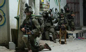 צה"ל השלים מבצע רחב ב-12 כפרים ביו"ש