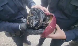 תפילין וסידור נשרפו באופנוע משטרתי