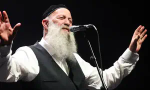 שולי רנד הופיע לראשונה בארה"ב