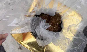 תיעוד: סוכל ניסיון הברחה של טבק לעזה